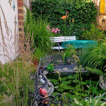 Spreewald Ferienwohnung Wollgast Lübben Exteriér fotografie
