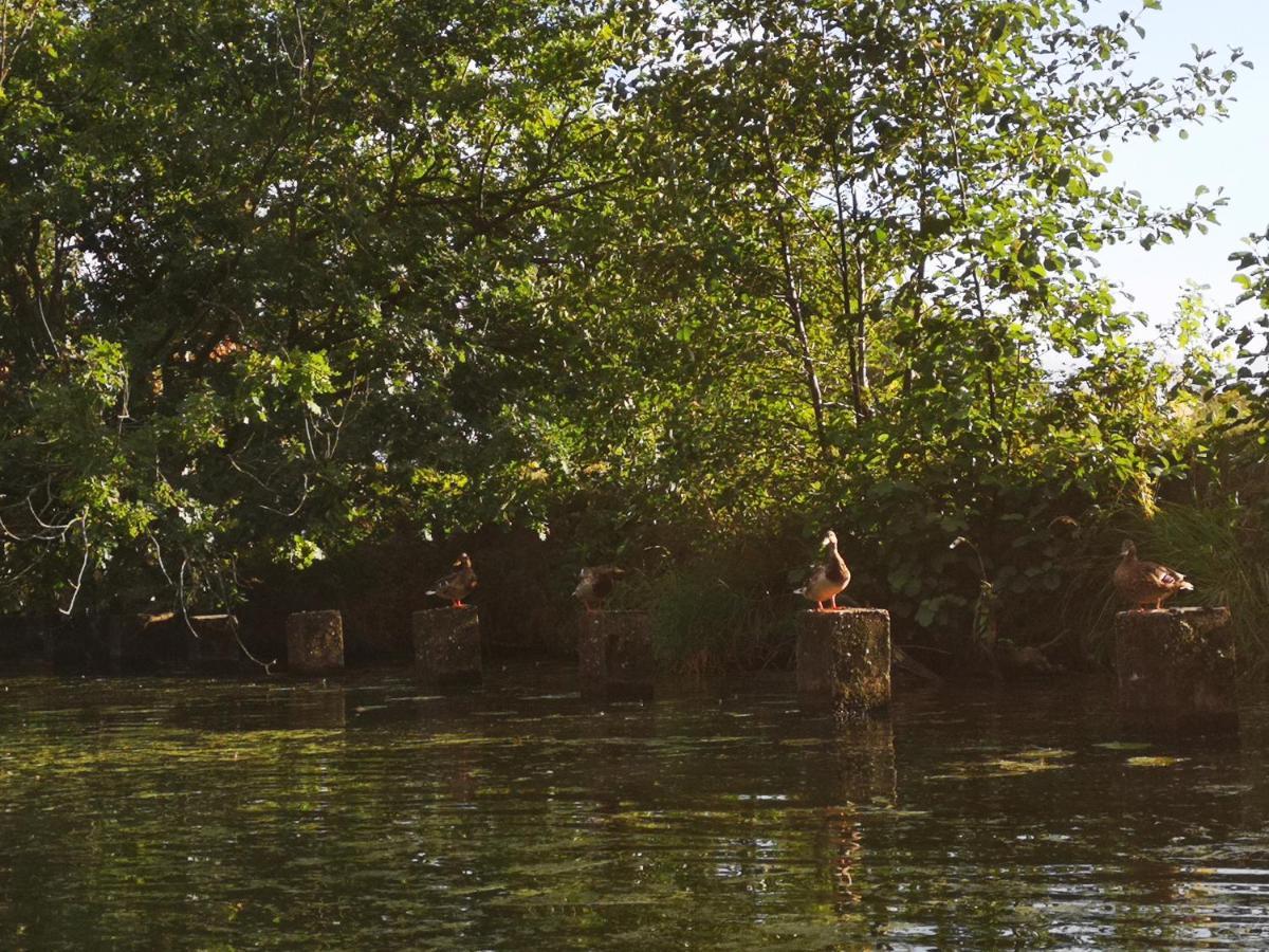 Spreewald Ferienwohnung Wollgast Lübben Exteriér fotografie
