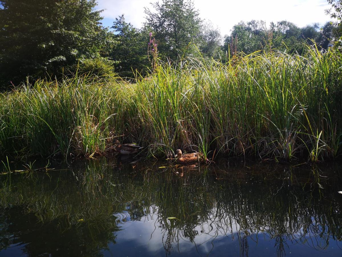 Spreewald Ferienwohnung Wollgast Lübben Exteriér fotografie