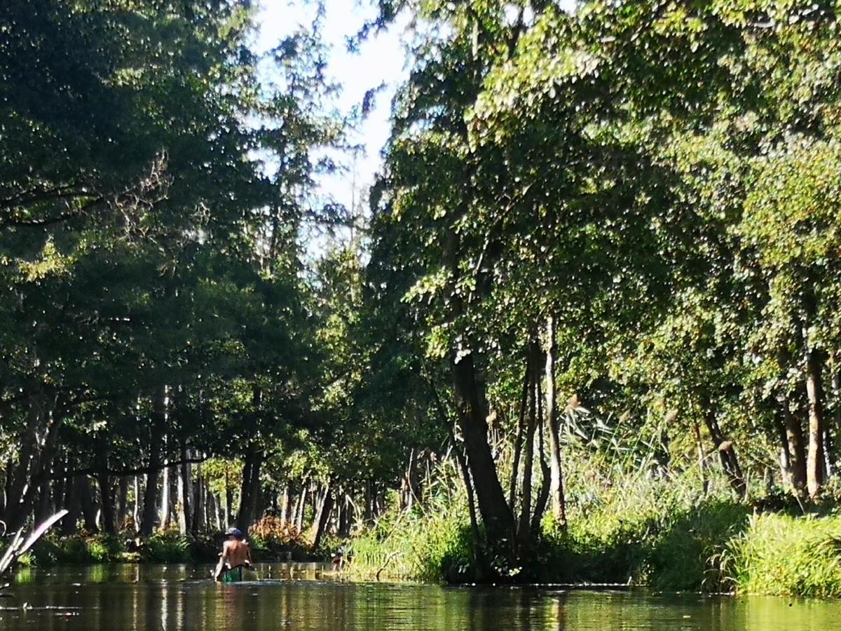 Spreewald Ferienwohnung Wollgast Lübben Exteriér fotografie