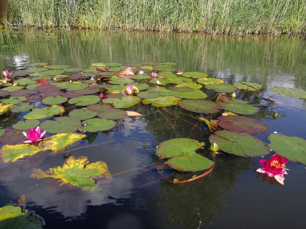 Spreewald Ferienwohnung Wollgast Lübben Pokoj fotografie