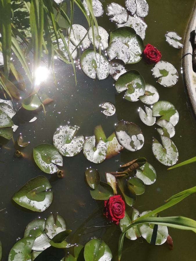 Spreewald Ferienwohnung Wollgast Lübben Exteriér fotografie